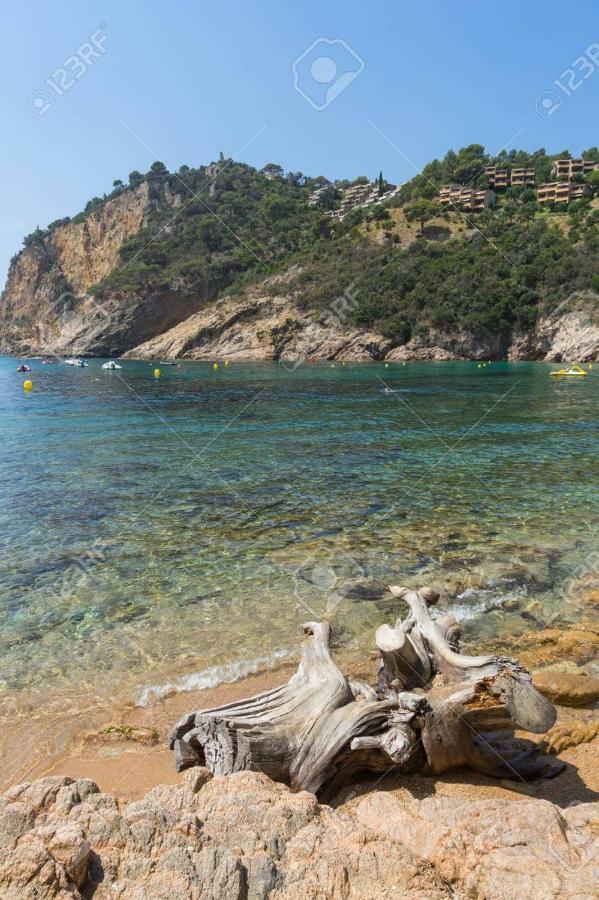 Villa Neptuno Tossa de Mar Zewnętrze zdjęcie